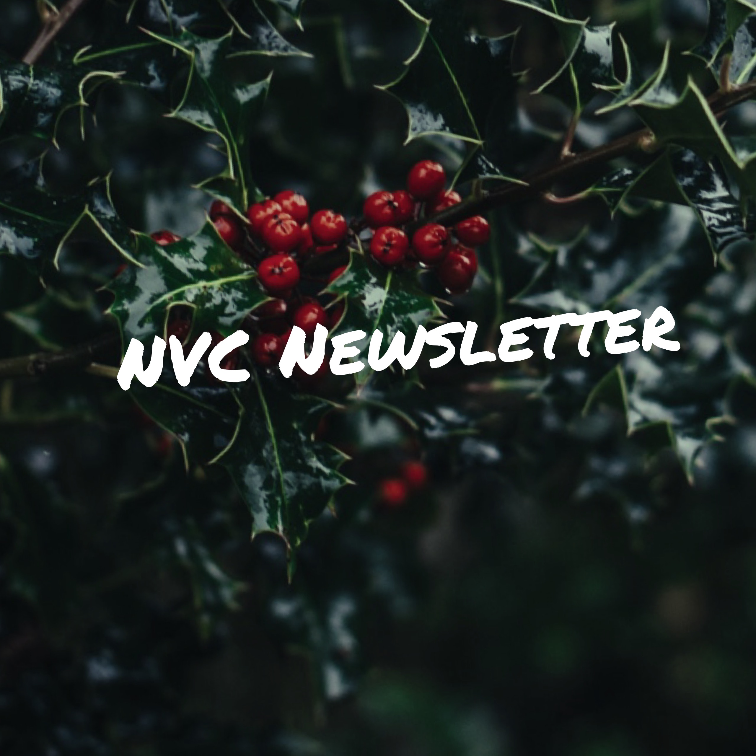 Newsletter December 12th, 2017