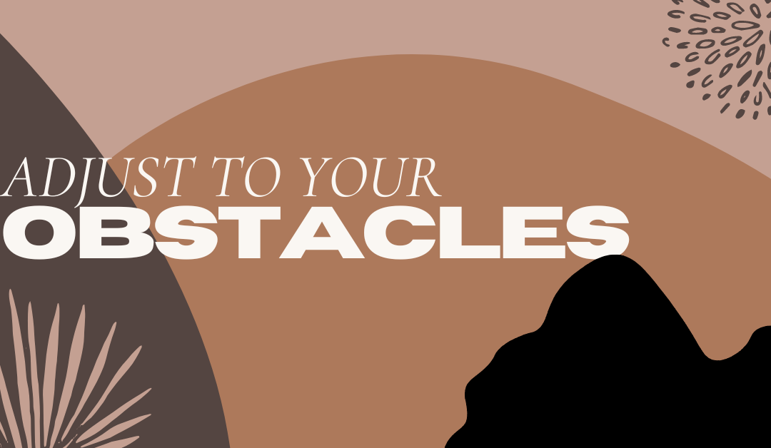 Adjust to Your Obstacles
