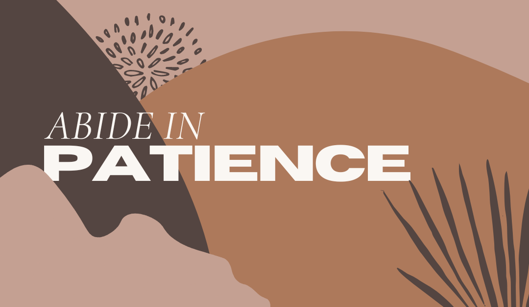 Abide in Patience