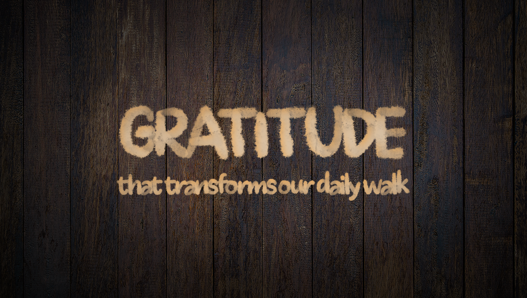 gratitude thanksgiving blog post with wooden background and text that says "gratitude that transforms our daily walk"